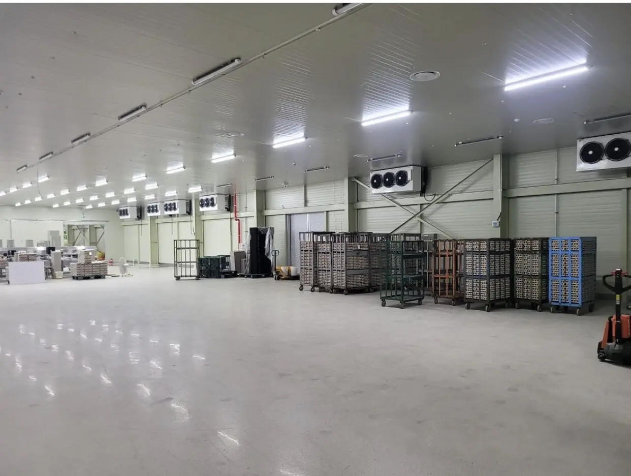 Vegetable Storage & Preservation Technology