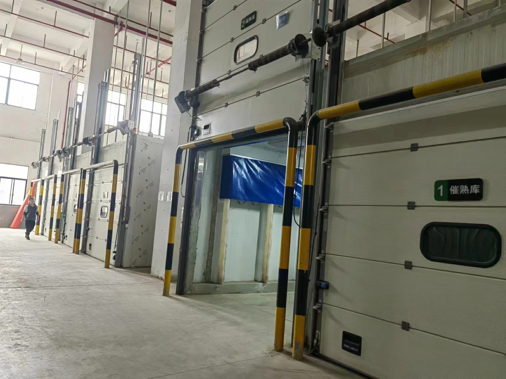 fruit ripening cold room